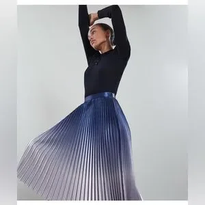 Reiss Skirts Nwt Reiss Anna Metallic Ombre Pleated Midi Skirt Poshmark